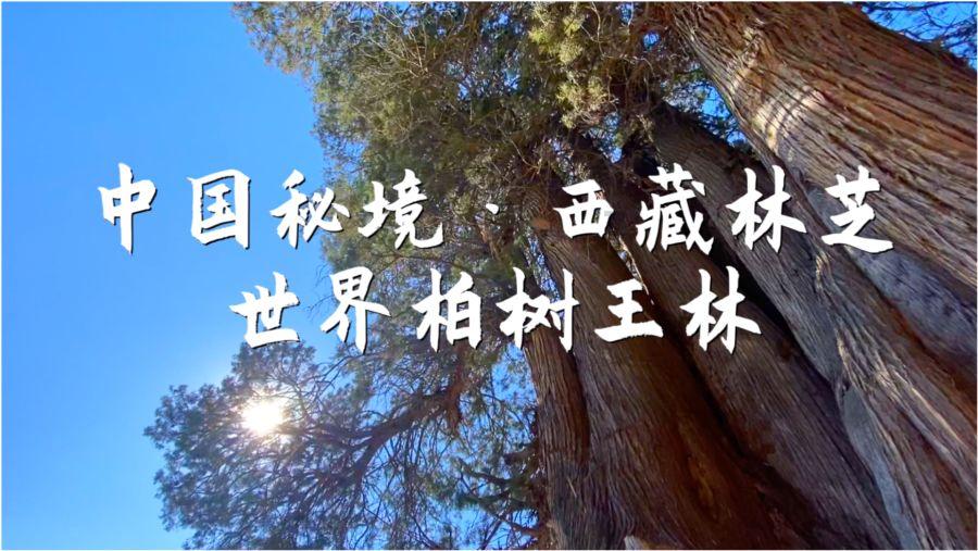戈尔巴乔夫不屑“丢掉东欧”指控:我把波兰还给波兰人,有错吗?